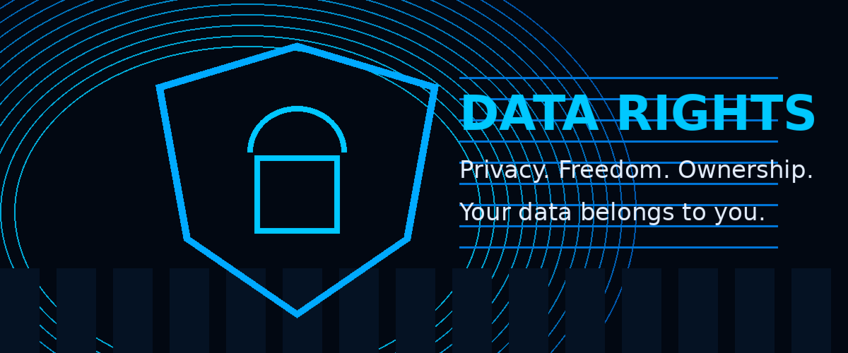 Data rights future